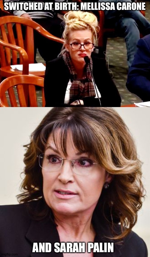 Switched at Birth | SWITCHED AT BIRTH: MELLISSA CARONE; AND SARAH PALIN | image tagged in mellissa carone,sarah palin | made w/ Imgflip meme maker