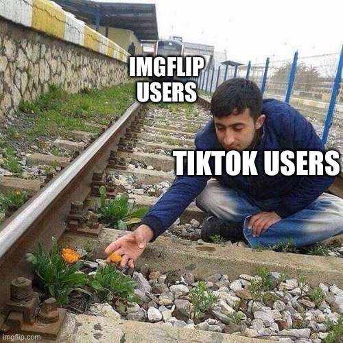 Imgflip Train Users hits TikTok Users (no hate on tik tok but I respect your opinion) | IMGFLIP USERS; TIKTOK USERS | image tagged in flower train man,tik tok,imgflip,users | made w/ Imgflip meme maker