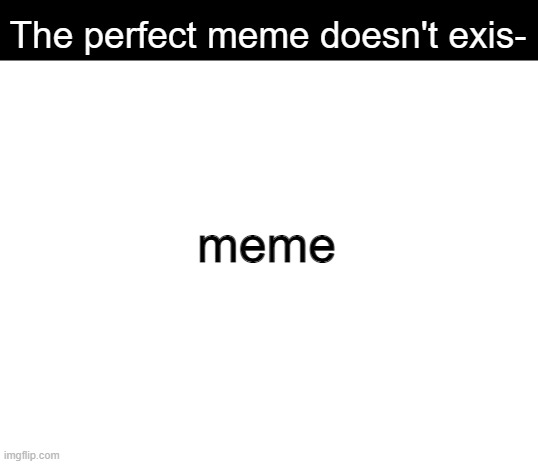 meme | The perfect meme doesn't exis-; meme | image tagged in blank white template,memes,meme,funny | made w/ Imgflip meme maker