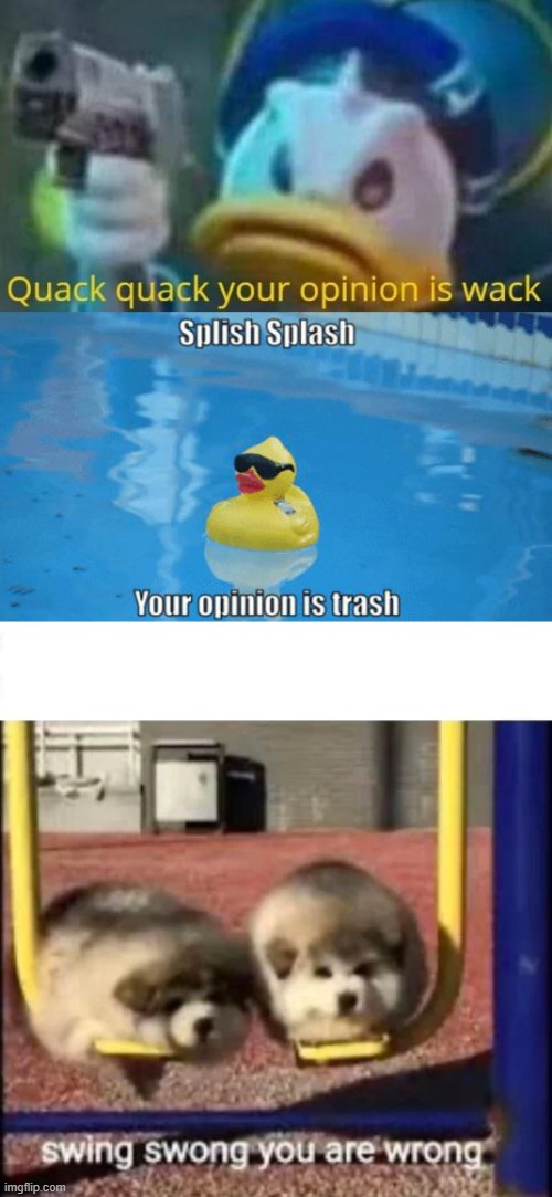 image tagged in quack quack your opinion is wack,splish splash your opinion is trash,swing swong you are wrong | made w/ Imgflip meme maker