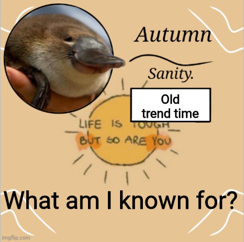 E | Old trend time; What am I known for? | image tagged in e | made w/ Imgflip meme maker