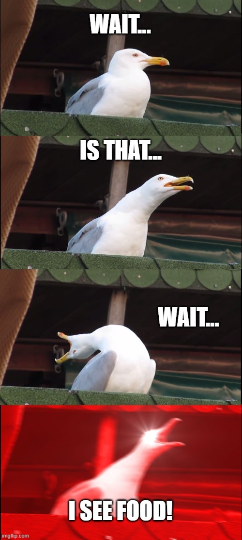 Food | WAIT... IS THAT... WAIT... I SEE FOOD! | image tagged in memes,inhaling seagull | made w/ Imgflip meme maker