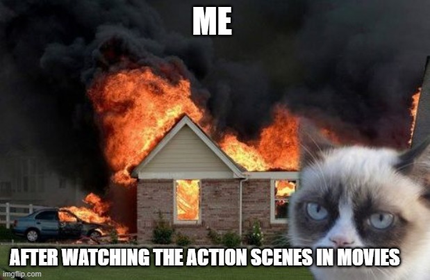 Burn Kitty | ME; AFTER WATCHING THE ACTION SCENES IN MOVIES | image tagged in memes,burn kitty,grumpy cat | made w/ Imgflip meme maker