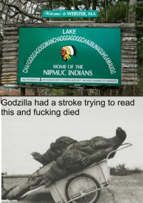 There is a simplified name, but i can't remember it. | image tagged in godzilla,lake,indians,wtf | made w/ Imgflip meme maker