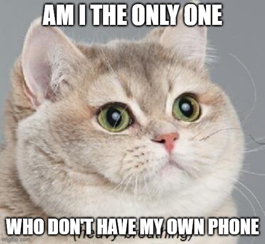 Heavy Breathing Cat | AM I THE ONLY ONE; WHO DON'T HAVE MY OWN PHONE | image tagged in memes,heavy breathing cat | made w/ Imgflip meme maker