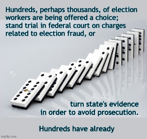 voter fraud; dominoes falling | image tagged in politics | made w/ Imgflip meme maker
