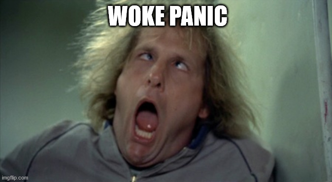 Scary Harry | WOKE PANIC | image tagged in memes,scary harry | made w/ Imgflip meme maker