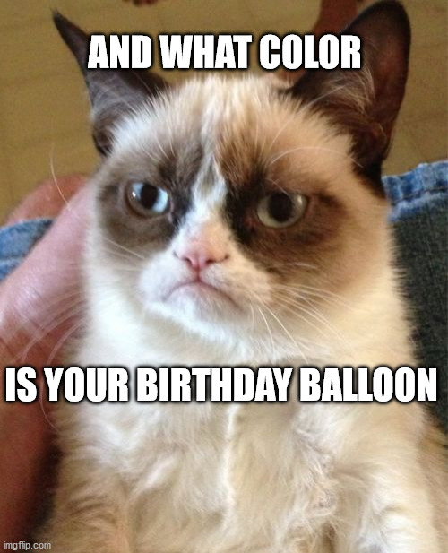 Grumpy Cat | AND WHAT COLOR; IS YOUR BIRTHDAY BALLOON | image tagged in memes,grumpy cat | made w/ Imgflip meme maker