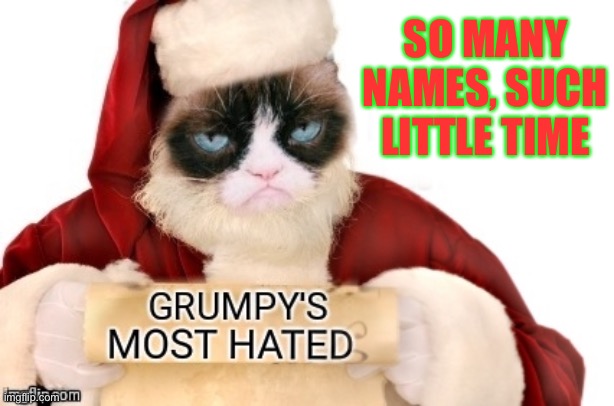 Grumpy’s Most Hated List | SO MANY NAMES, SUCH LITTLE TIME | image tagged in grumpy's most hated list,44colt | made w/ Imgflip meme maker
