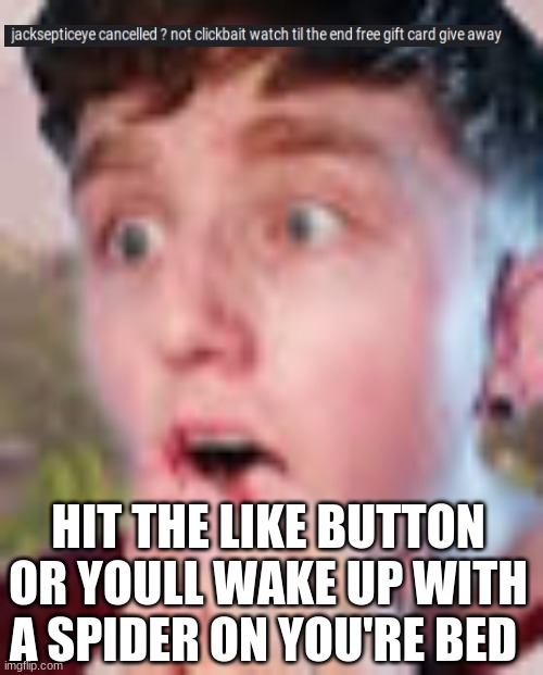 clickbait thumbnails be like | HIT THE LIKE BUTTON OR YOULL WAKE UP WITH A SPIDER ON YOU'RE BED | image tagged in clickbait,cancelled,jacksepticeye | made w/ Imgflip meme maker