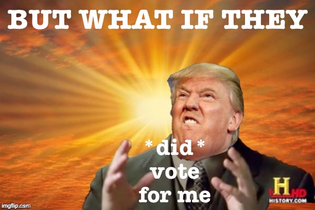 Bold question sir | BUT WHAT IF THEY; *did* vote for me | image tagged in trump ancient aliens,election 2020,2020 elections,democracy,i love democracy,trump is a moron | made w/ Imgflip meme maker