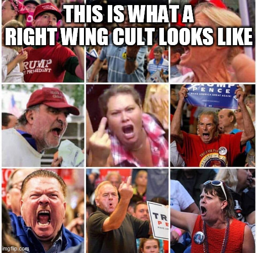 Trump - The hero of the Stupid, the easy to manipulate and easy to fool | THIS IS WHAT A RIGHT WING CULT LOOKS LIKE | image tagged in donald trump,republicans,election 2020,trump supporters | made w/ Imgflip meme maker