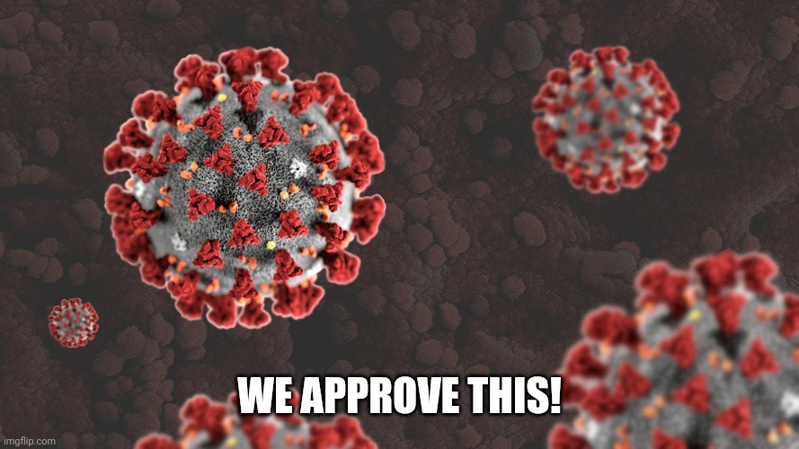 Coronavirus | WE APPROVE THIS! | image tagged in coronavirus | made w/ Imgflip meme maker