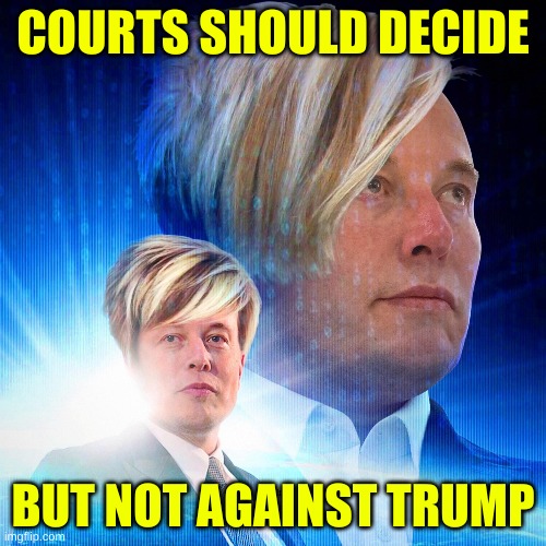 Elon Musk Karen | COURTS SHOULD DECIDE; BUT NOT AGAINST TRUMP | image tagged in elon musk karen,election 2020,supreme court,trump lost,conservative hypocrisy,whining | made w/ Imgflip meme maker