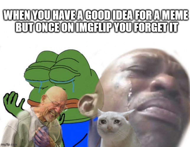 Sad times meme... | WHEN YOU HAVE A GOOD IDEA FOR A MEME
 BUT ONCE ON IMGFLIP YOU FORGET IT | image tagged in sad times | made w/ Imgflip meme maker