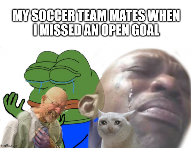 sad times meme | MY SOCCER TEAM MATES WHEN
I MISSED AN OPEN GOAL | image tagged in sad times | made w/ Imgflip meme maker