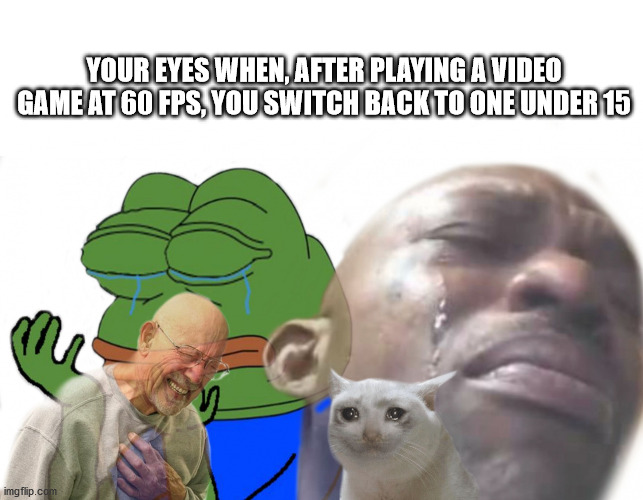 sad times meme | YOUR EYES WHEN, AFTER PLAYING A VIDEO GAME AT 60 FPS, YOU SWITCH BACK TO ONE UNDER 15 | image tagged in sad times | made w/ Imgflip meme maker