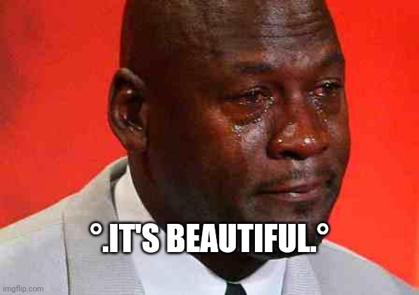 crying michael jordan | °.IT'S BEAUTIFUL.° | image tagged in crying michael jordan | made w/ Imgflip meme maker