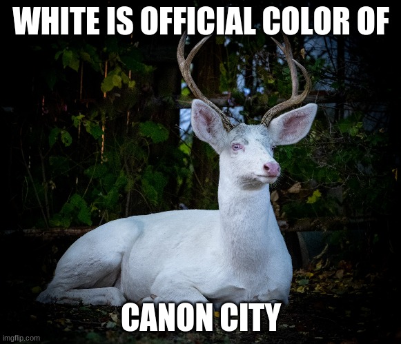 cracker tilde | WHITE IS OFFICIAL COLOR OF; CANON CITY | image tagged in memes | made w/ Imgflip meme maker