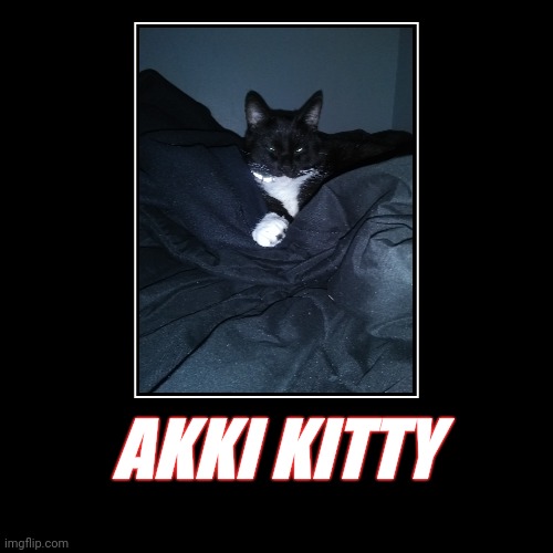 Akki | image tagged in funny,demotivationals,akki | made w/ Imgflip demotivational maker