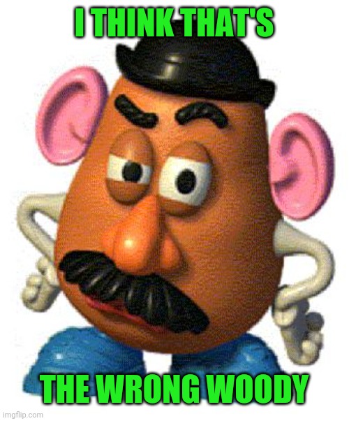 Mr Potato Head | I THINK THAT'S THE WRONG WOODY | image tagged in mr potato head | made w/ Imgflip meme maker
