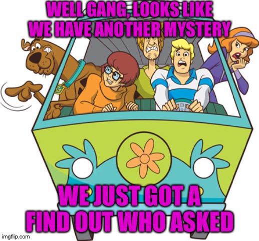 Scooby Doo Meme | WELL GANG, LOOKS LIKE WE HAVE ANOTHER MYSTERY WE JUST GOT A FIND OUT WHO ASKED | image tagged in memes,scooby doo | made w/ Imgflip meme maker