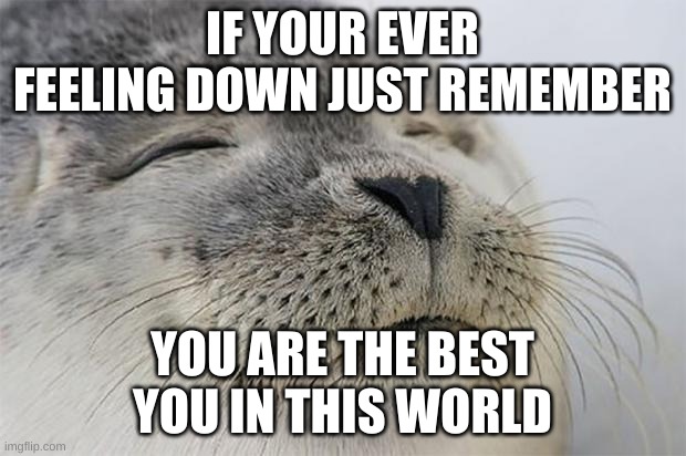 =D hope you guys are having a great morning! | IF YOUR EVER FEELING DOWN JUST REMEMBER; YOU ARE THE BEST YOU IN THIS WORLD | image tagged in memes,satisfied seal | made w/ Imgflip meme maker