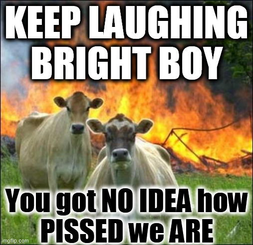 Evil Cows Meme | KEEP LAUGHING
BRIGHT BOY You got NO IDEA how
PISSED we ARE | image tagged in memes,evil cows | made w/ Imgflip meme maker