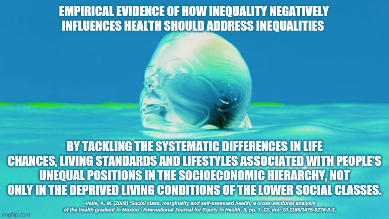 Poor and Drowning | EMPIRICAL EVIDENCE OF HOW INEQUALITY NEGATIVELY INFLUENCES HEALTH SHOULD ADDRESS INEQUALITIES; BY TACKLING THE SYSTEMATIC DIFFERENCES IN LIFE CHANCES, LIVING STANDARDS AND LIFESTYLES ASSOCIATED WITH PEOPLE'S UNEQUAL POSITIONS IN THE SOCIOECONOMIC HIERARCHY, NOT ONLY IN THE DEPRIVED LIVING CONDITIONS OF THE LOWER SOCIAL CLASSES. -Valle, A. M. (2009) ‘Social class, marginality and self-assessed health: a cross-sectional analysis of the health gradient in Mexico’, International Journal for Equity in Health, 8, pp. 1–12. doi: 10.1186/1475-9276-8-3. | image tagged in inequality,social engineering,wicked,schism,hierarchy | made w/ Imgflip meme maker