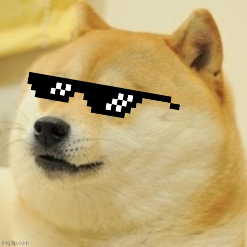 Cool doge | image tagged in memes,doge | made w/ Imgflip meme maker
