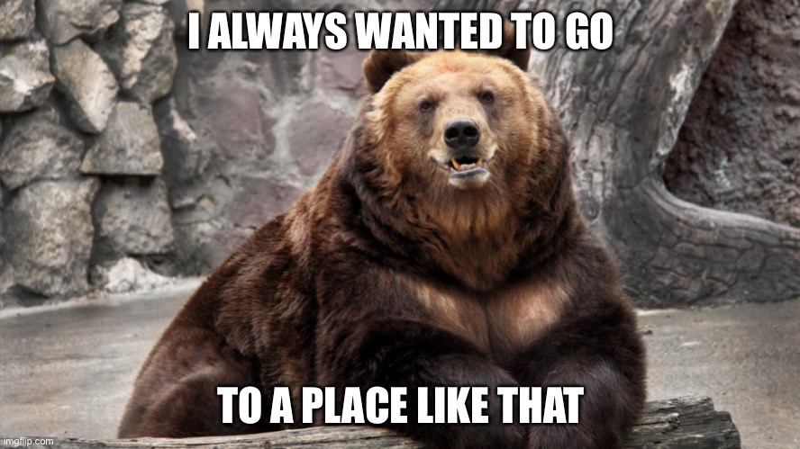Wondering Bear | I ALWAYS WANTED TO GO TO A PLACE LIKE THAT | image tagged in wondering bear | made w/ Imgflip meme maker