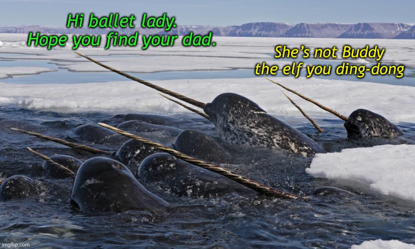 Hi ballet lady. Hope you find your dad. She’s not Buddy the elf you ding-dong | made w/ Imgflip meme maker