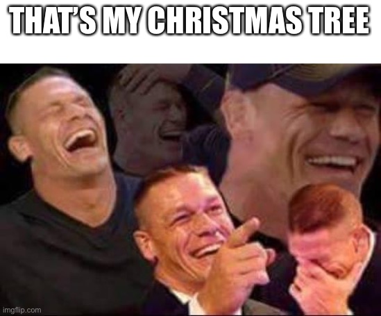john cena laughing | THAT’S MY CHRISTMAS TREE | image tagged in john cena laughing | made w/ Imgflip meme maker