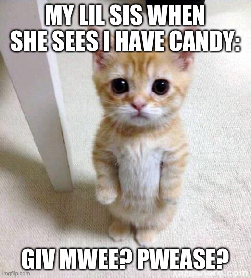 Same with you, right? Now UPVOTE. | MY LIL SIS WHEN SHE SEES I HAVE CANDY:; GIV MWEE? PWEASE? | image tagged in memes,cute cat | made w/ Imgflip meme maker