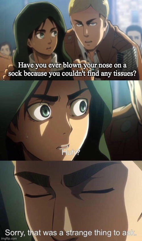 Strange question attack on titan | Have you ever blown your nose on a sock because you couldn't find any tissues? | image tagged in strange question attack on titan,nose,sock | made w/ Imgflip meme maker