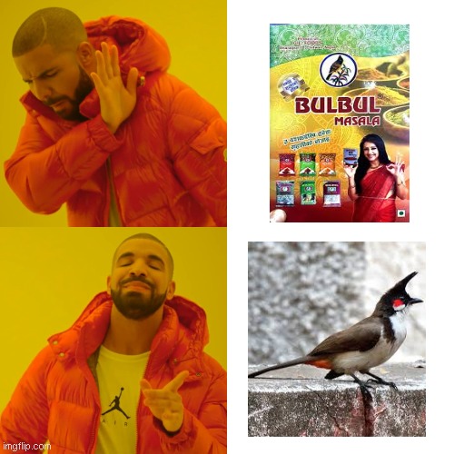 just for fun | image tagged in memes,drake hotline bling | made w/ Imgflip meme maker