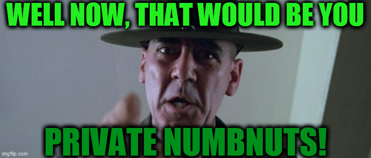 R Lee Ermey Full Metal Jacket | WELL NOW, THAT WOULD BE YOU PRIVATE NUMBNUTS! | image tagged in r lee ermey full metal jacket | made w/ Imgflip meme maker