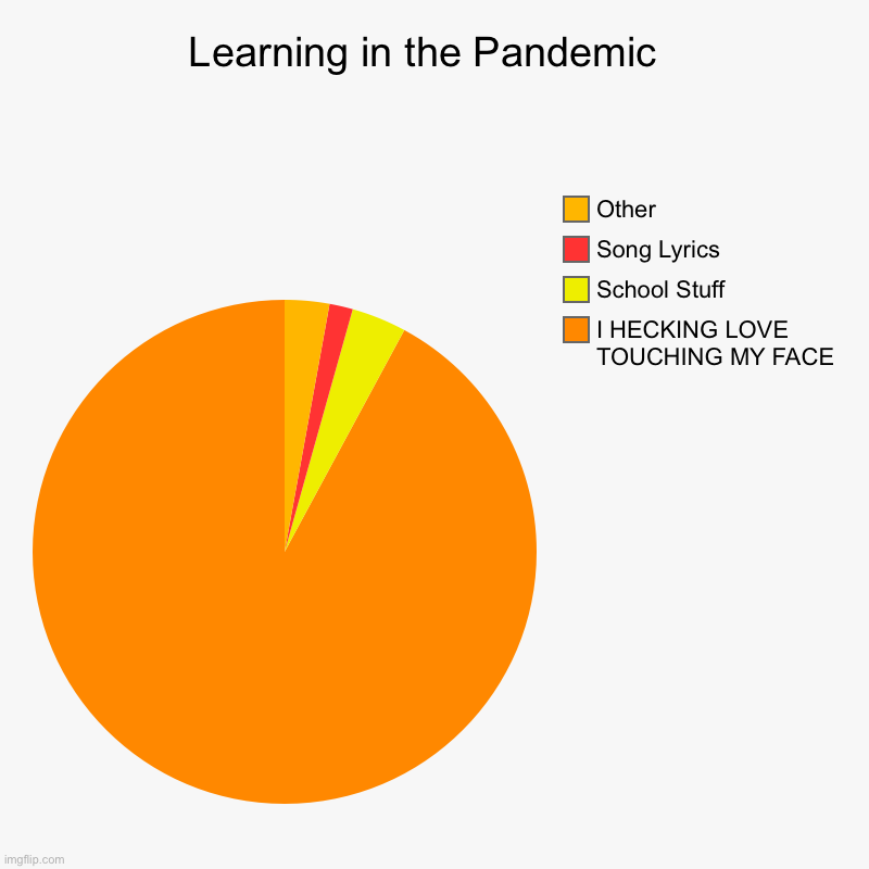 Learning in the Pandemic  | I HECKING LOVE TOUCHING MY FACE, School Stuff, Song Lyrics , Other | image tagged in charts,pie charts | made w/ Imgflip chart maker