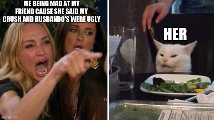 Angry lady cat | ME BEING MAD AT MY FRIEND CAUSE SHE SAID MY CRUSH AND HUSBANDO'S WERE UGLY; HER | image tagged in angry lady cat | made w/ Imgflip meme maker