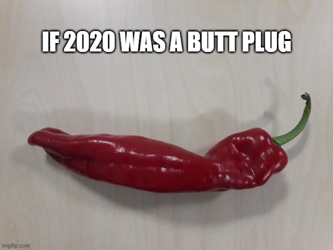 Butt Plug | IF 2020 WAS A BUTT PLUG | image tagged in butt plug,2020 | made w/ Imgflip meme maker