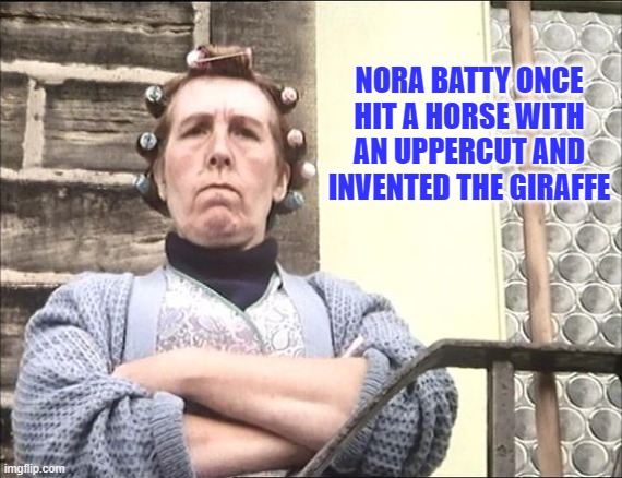 Nora Batty | NORA BATTY ONCE HIT A HORSE WITH AN UPPERCUT AND INVENTED THE GIRAFFE | image tagged in nora batty,uppercut | made w/ Imgflip meme maker