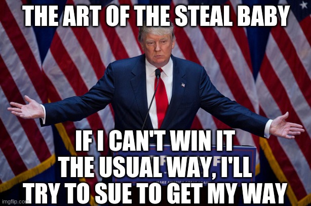 Donald Trump | THE ART OF THE STEAL BABY IF I CAN'T WIN IT THE USUAL WAY, I'LL TRY TO SUE TO GET MY WAY | image tagged in donald trump | made w/ Imgflip meme maker