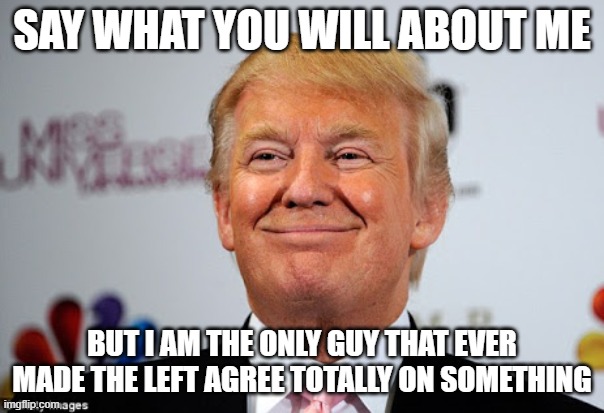Donald trump approves | SAY WHAT YOU WILL ABOUT ME; BUT I AM THE ONLY GUY THAT EVER MADE THE LEFT AGREE TOTALLY ON SOMETHING | image tagged in donald trump approves | made w/ Imgflip meme maker