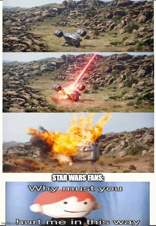 Why must you hurt me in this way | STAR WARS FANS: | image tagged in why must you hurt me in this way | made w/ Imgflip meme maker