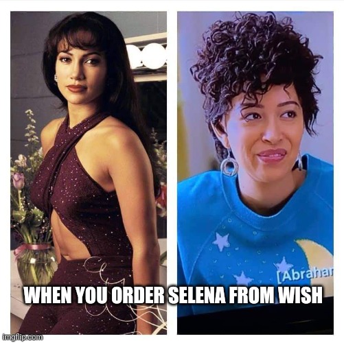 Wish | WHEN YOU ORDER SELENA FROM WISH | image tagged in selena | made w/ Imgflip meme maker