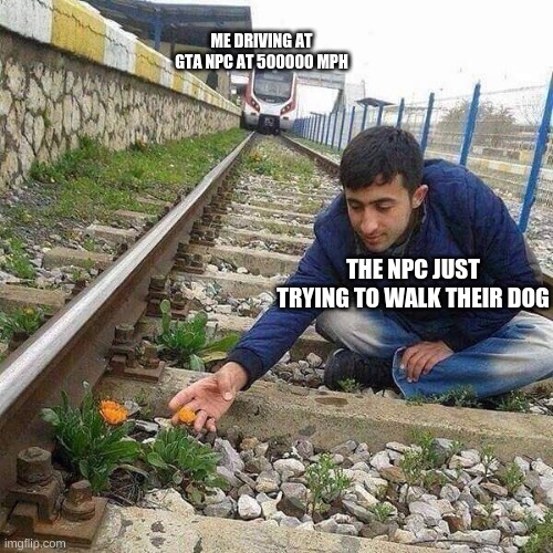 gta npc's be like | ME DRIVING AT GTA NPC AT 500000 MPH; THE NPC JUST TRYING TO WALK THEIR DOG | image tagged in flower train man | made w/ Imgflip meme maker