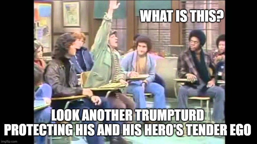 Arnold Horshack | LOOK ANOTHER TRUMPTURD PROTECTING HIS AND HIS HERO'S TENDER EGO WHAT IS THIS? | image tagged in arnold horshack | made w/ Imgflip meme maker