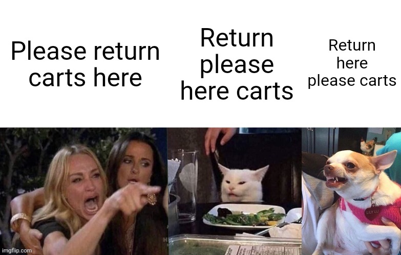 Woman Yelling At Cat (3 Panels) | Please return carts here Return please here carts Return here please carts | image tagged in woman yelling at cat 3 panels | made w/ Imgflip meme maker