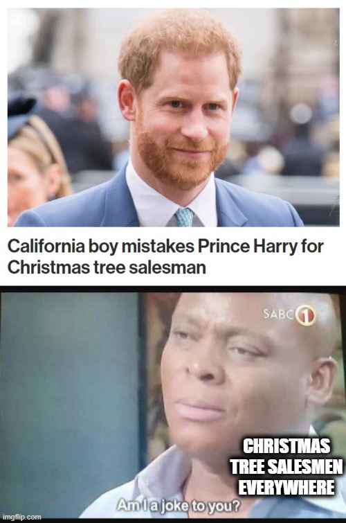 California Boy might be the new Florida Man! | CHRISTMAS TREE SALESMEN EVERYWHERE | image tagged in am i a joke to you,memes,prince harry,christmas tree salesman,california boy | made w/ Imgflip meme maker