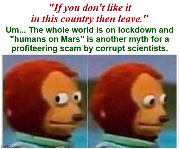 If you don't like it... | "If you don't like it in this country then leave."; Um... The whole world is on lockdown and
"humans on Mars" is another myth for a
profiteering scam by corrupt scientists. | image tagged in memes,monkey puppet,lockdown,mars,corrupt science,scammers | made w/ Imgflip meme maker